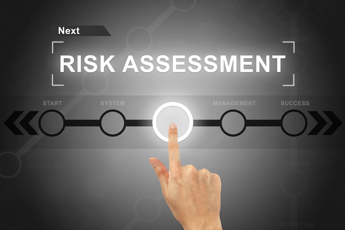 What is a risk manager